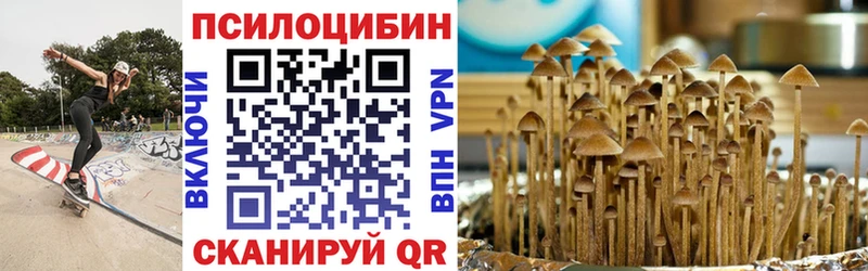 Галлюциногенные грибы Psilocybine cubensis  Княгинино 